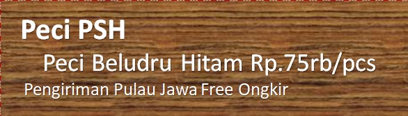 Header Peci PSH